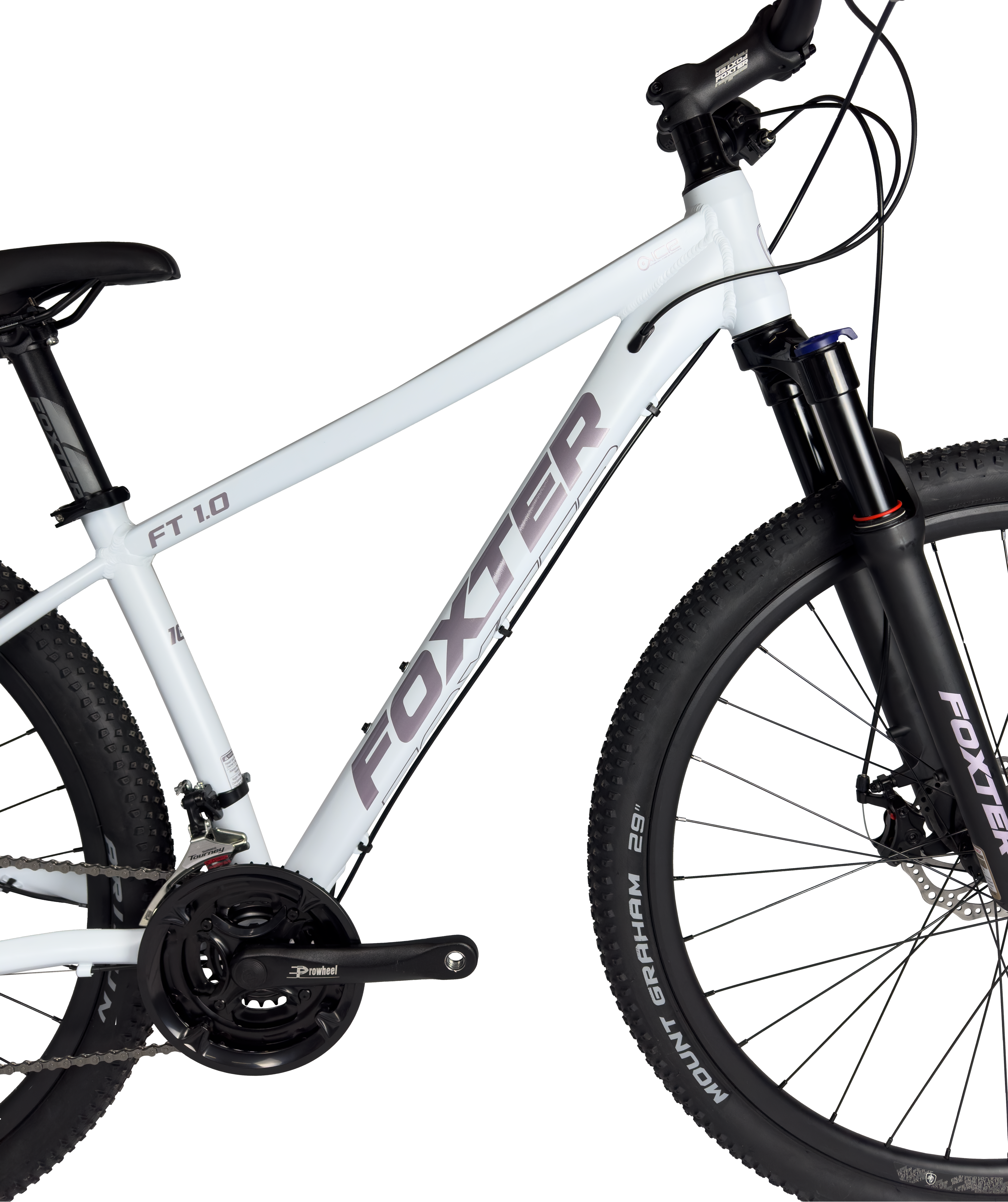 FT 1.0 2026 | BLANCA