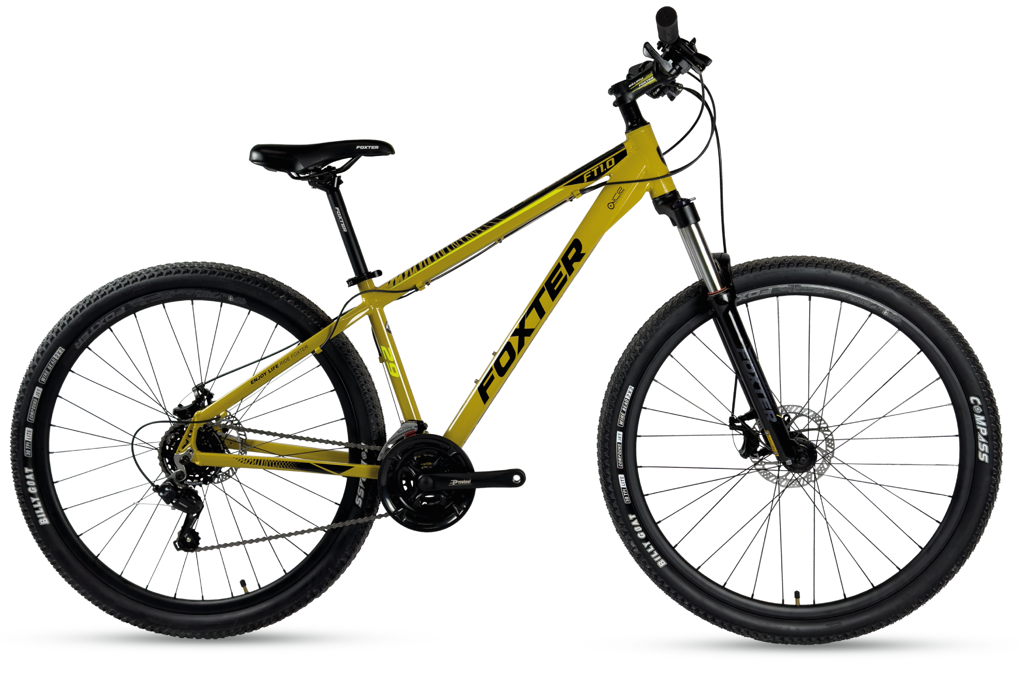 FT 1.0 2025| MOSTAZA/AMARILLO